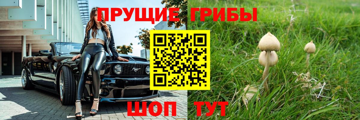 Назрань  Галлюциногенные грибы Magic Shrooms  Вход с VPN 